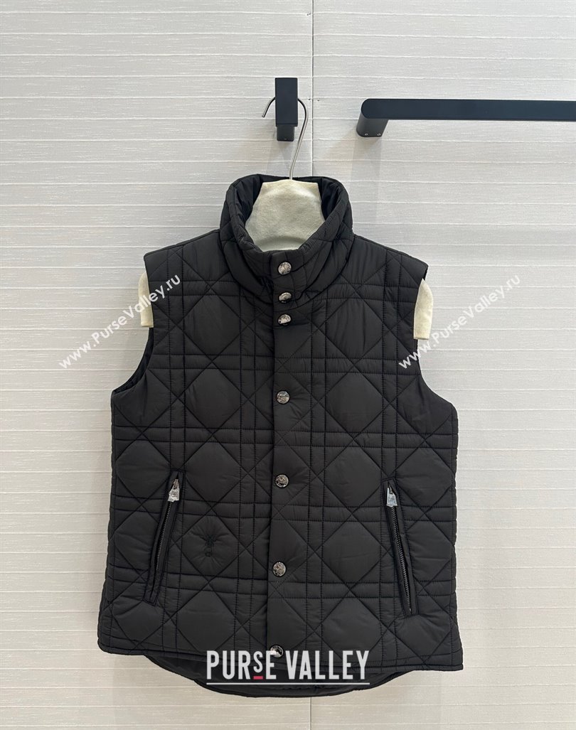 Dior Nylon and Padded Vest Black 2024 1025 (QI-241025004)