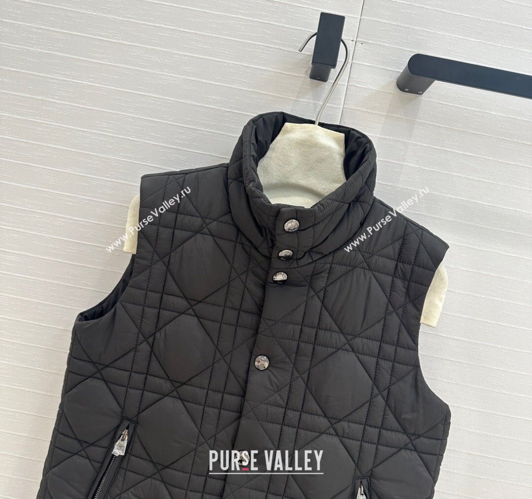 Dior Nylon and Padded Vest Black 2024 1025 (QI-241025004)