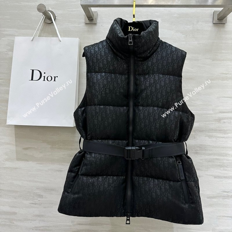 Dior Snow Down Vest with Buckle Black 2024 1025 (QI-241025041)