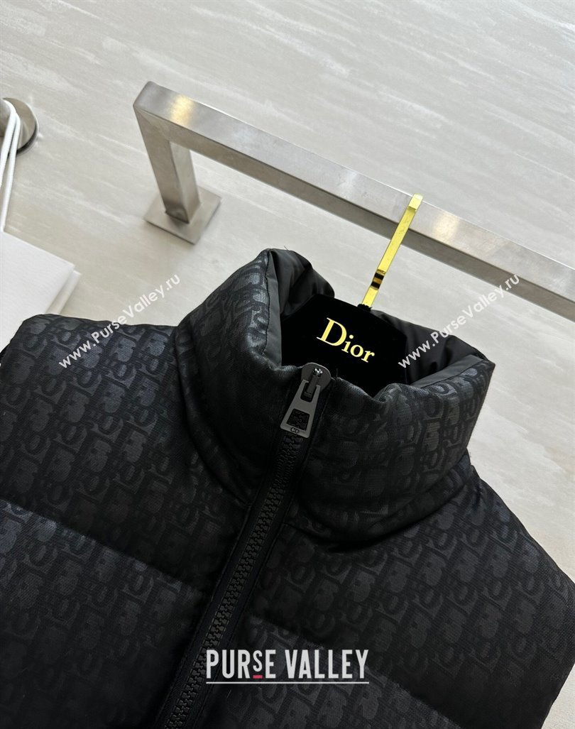 Dior Snow Down Vest with Buckle Black 2024 1025 (QI-241025041)