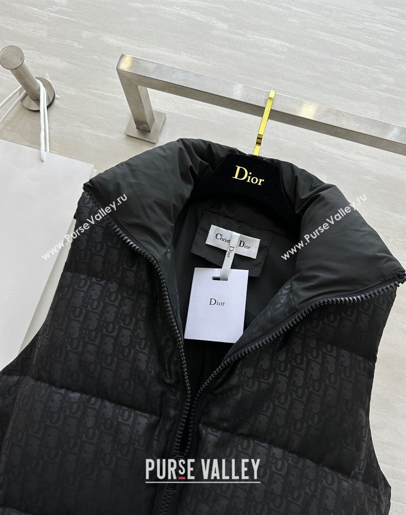 Dior Snow Down Vest with Buckle Black 2024 1025 (QI-241025041)