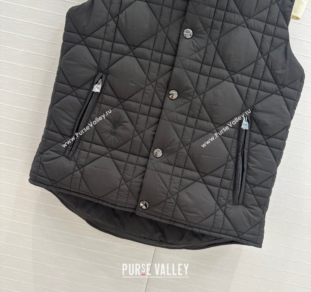 Dior Nylon and Padded Vest Black 2024 1025 (QI-241025004)