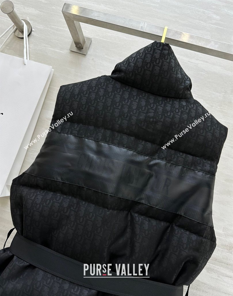 Dior Snow Down Vest with Buckle Black 2024 1025 (QI-241025041)