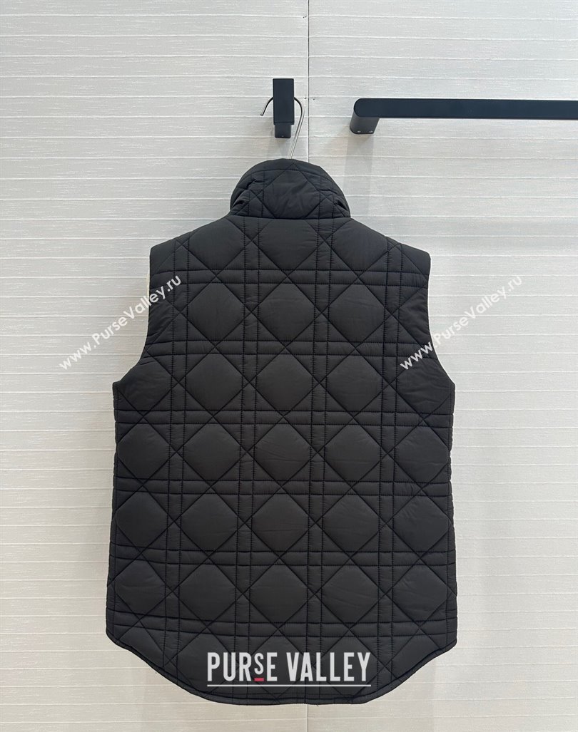 Dior Nylon and Padded Vest Black 2024 1025 (QI-241025004)