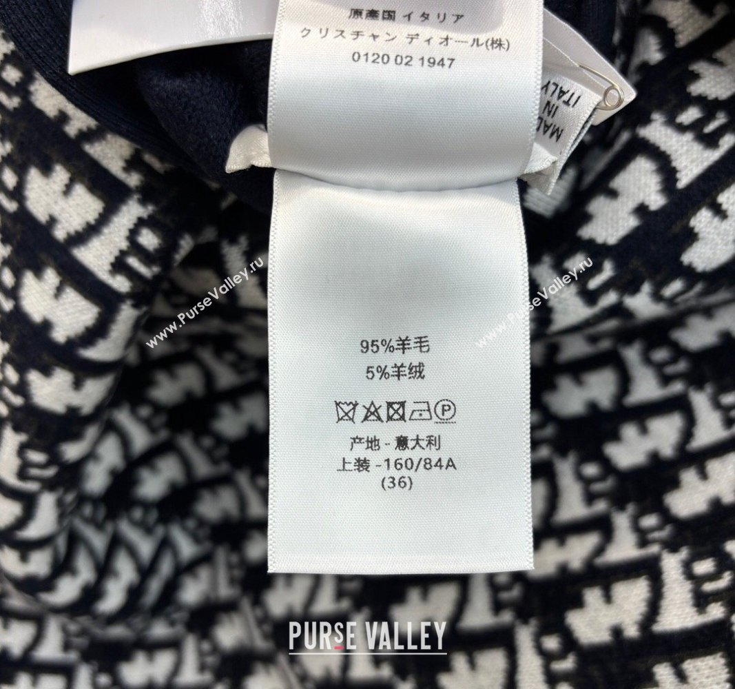 Dior Oblique Jacket and Pants Set Blue 2024 1025 (QI-241025044)
