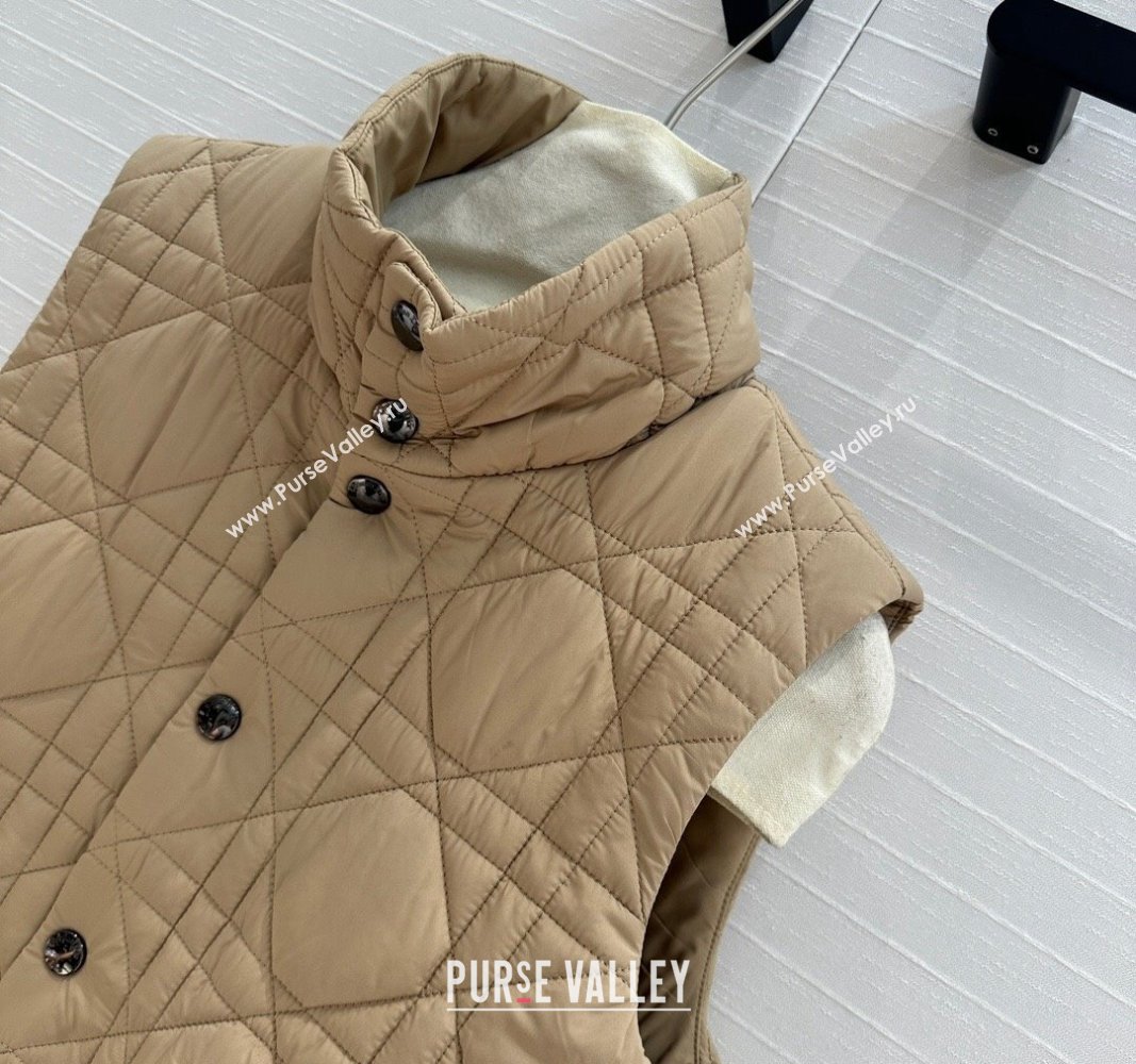 Dior Nylon and Padded Vest Beige 2024 1025 (QI-241025005)