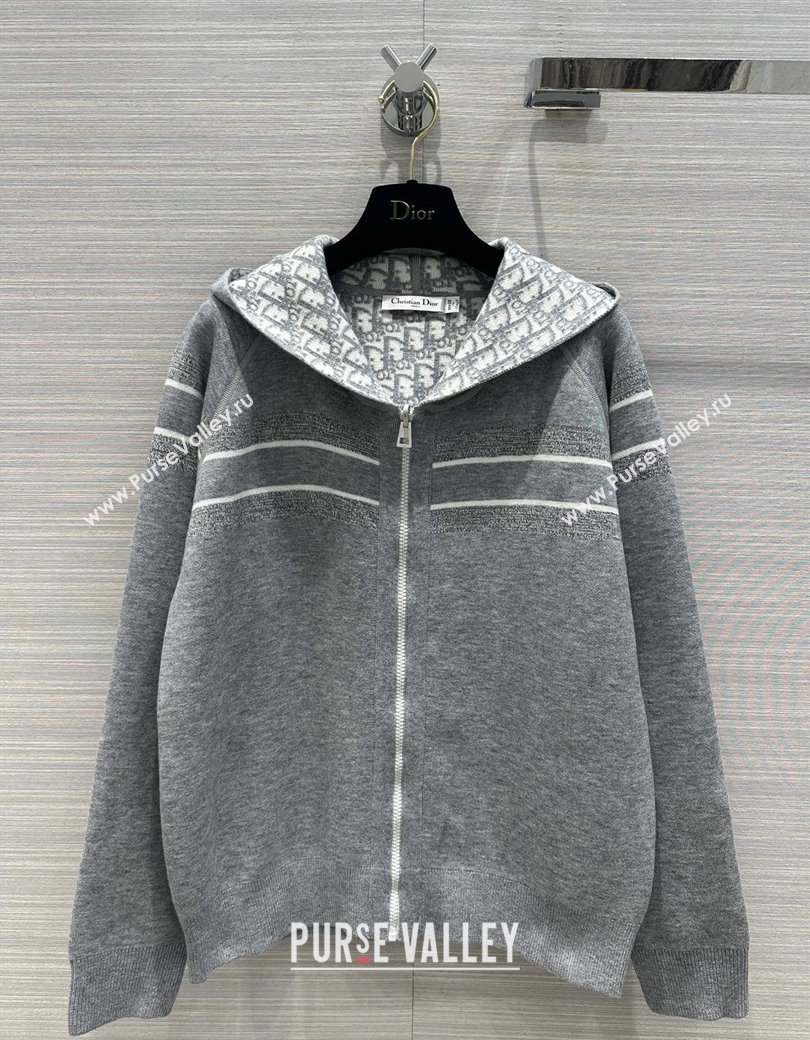 Dior Reversible Jacket Grey 2024 1123 (QI-241123028)