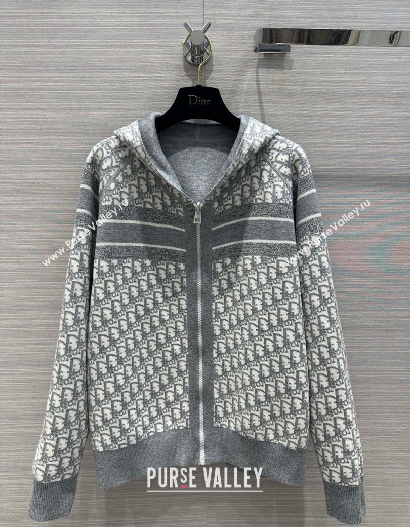 Dior Reversible Jacket Grey 2024 1123 (QI-241123028)