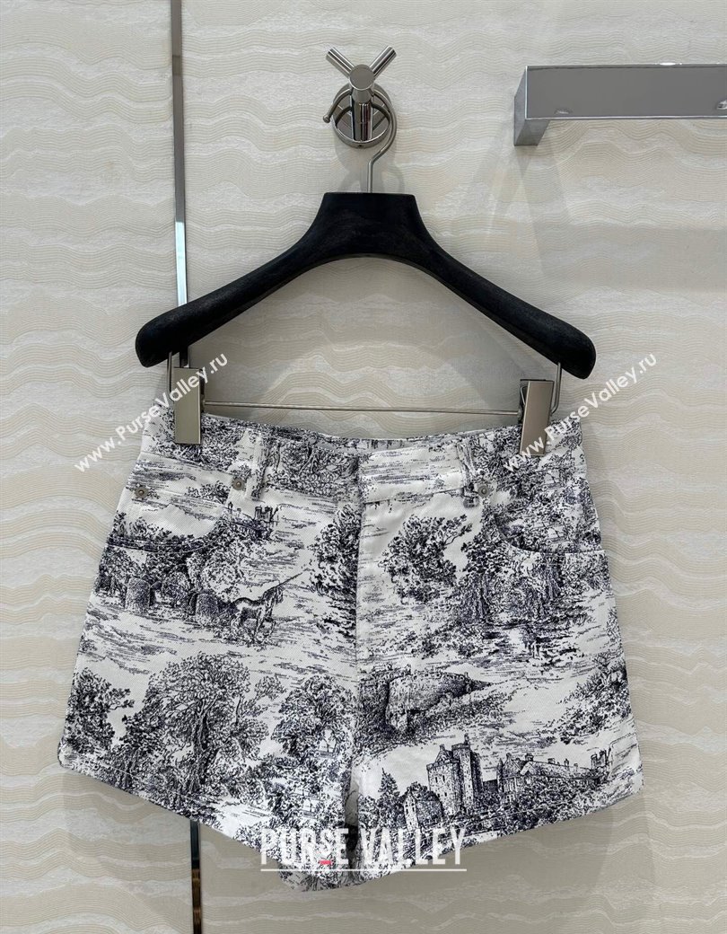 Dior Printed Shorts 2024 1203 (QI-241203105)