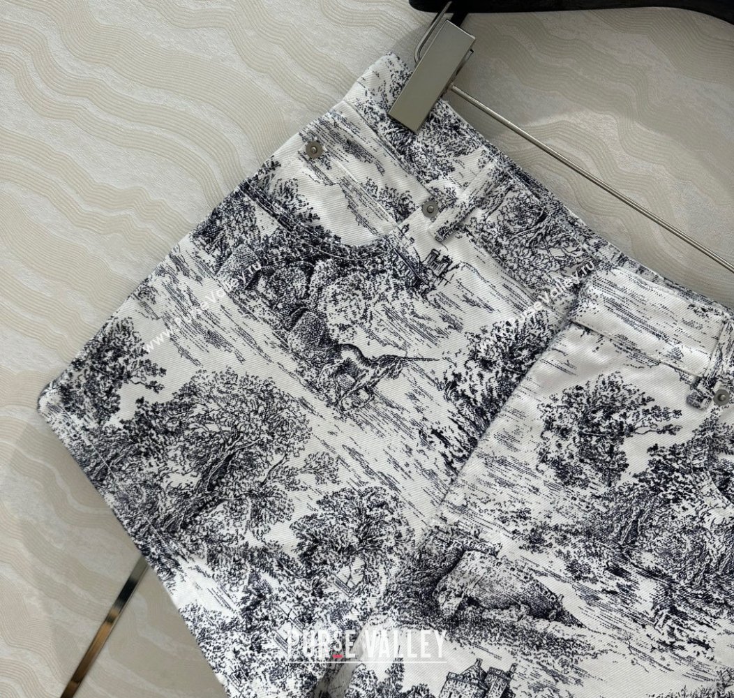 Dior Printed Shorts 2024 1203 (QI-241203105)