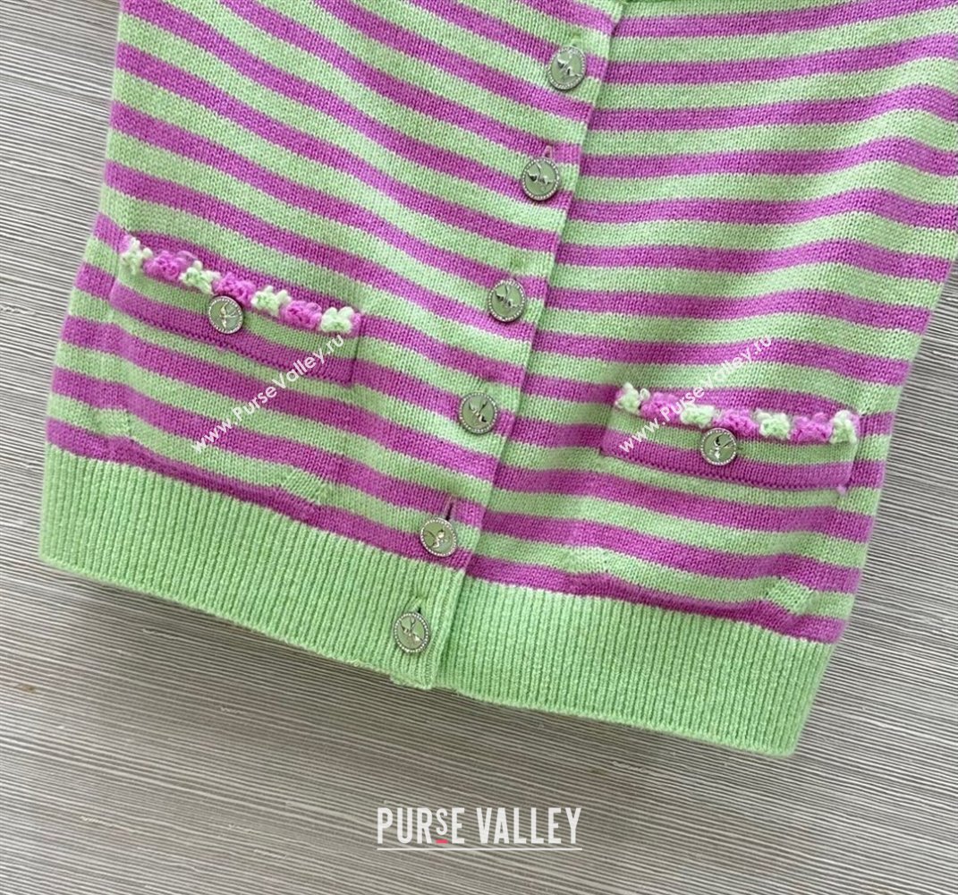 Chanel Cashmere Vest Green/Purple 2025 (QI-250410035)