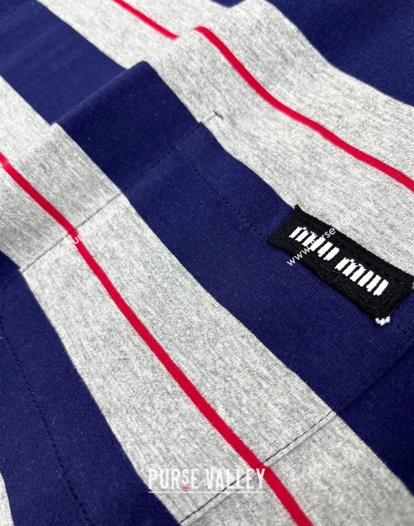 Miu Miu Striped Long Sleeve T-Shirt Blue/Grey 2025042905 (QI-250429066)