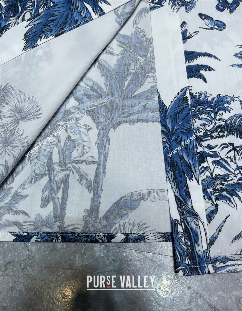 Dior Printed Long Dress White/Blue 2025 0704 (QI-250704028)