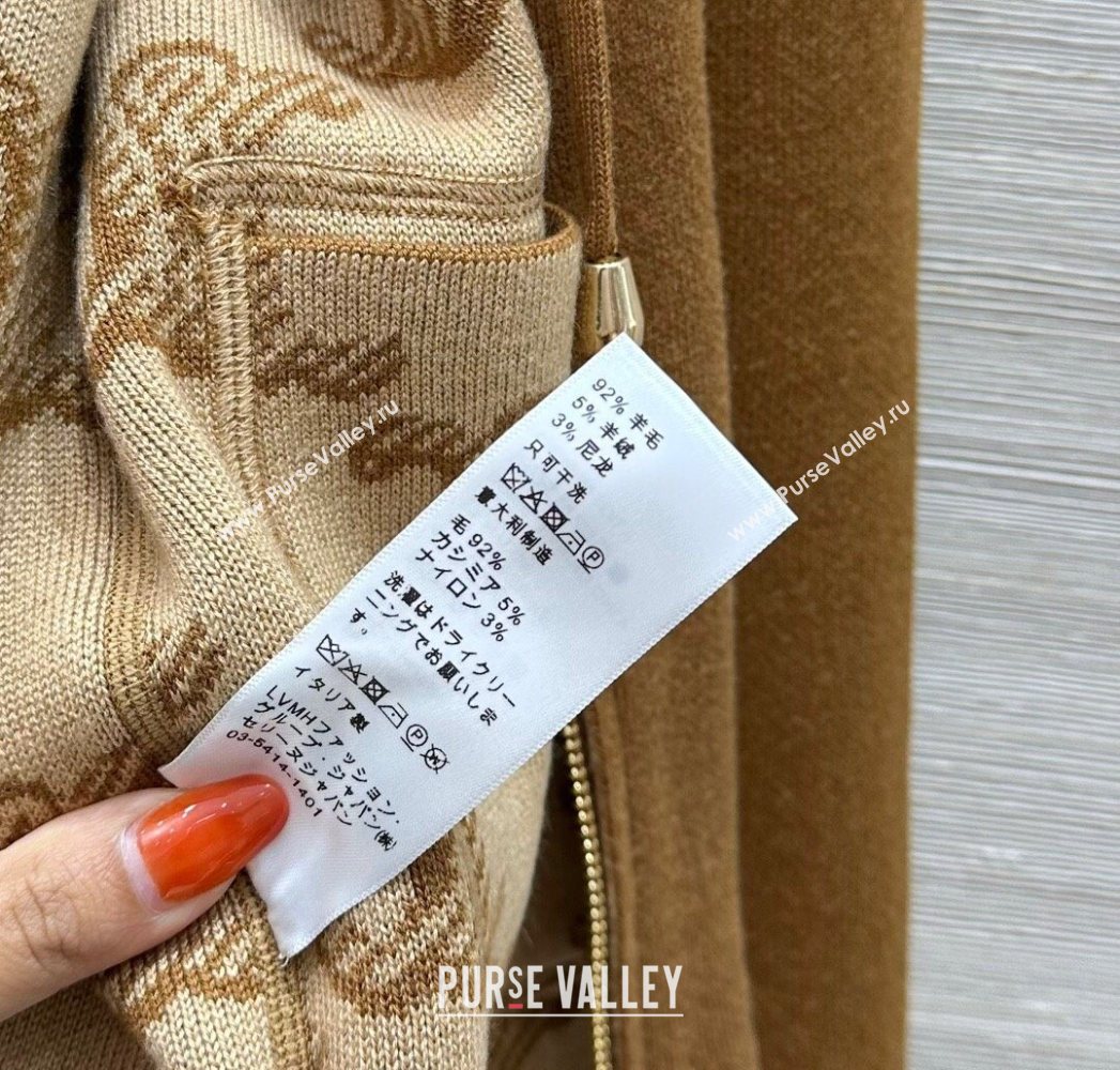 Celine Wool Cashmere Reversible Jacket Brown 2025 0729 (QI-250729031)