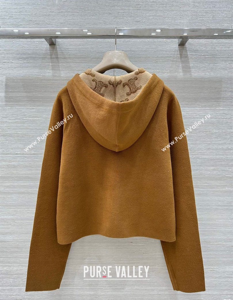 Celine Wool Cashmere Reversible Jacket Brown 2025 0729 (QI-250729031)