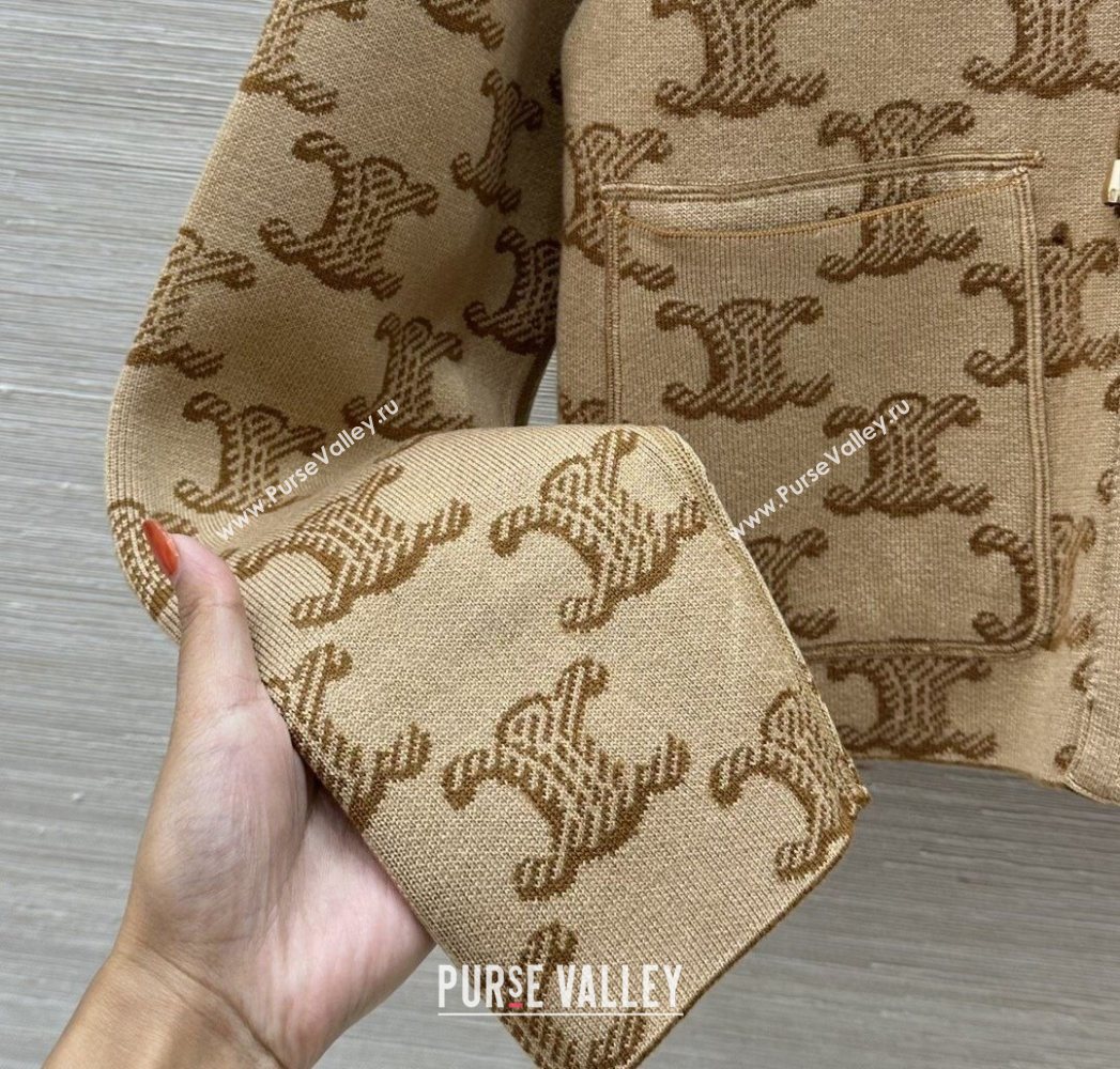 Celine Wool Cashmere Reversible Jacket Brown 2025 0729 (QI-250729031)