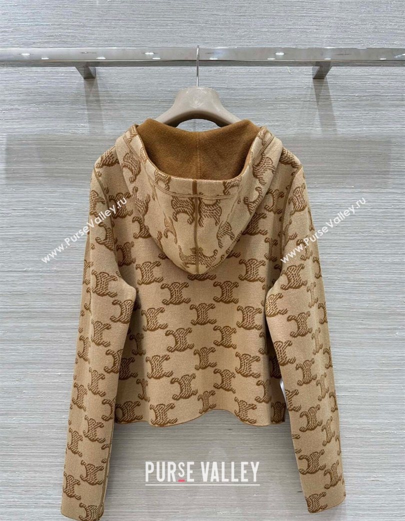 Celine Wool Cashmere Reversible Jacket Brown 2025 0729 (QI-250729031)