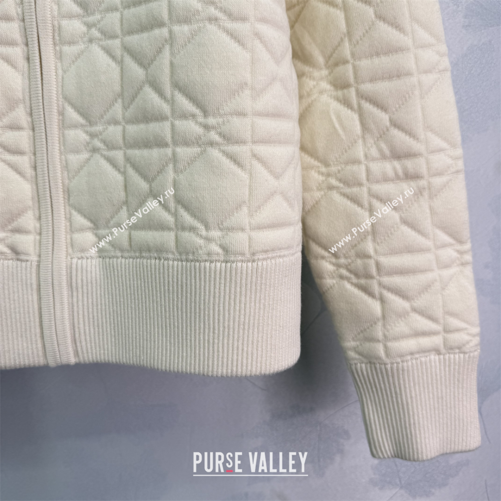 Dior Oblique Jacket White/Black 2025 0813 (QI-250814121)