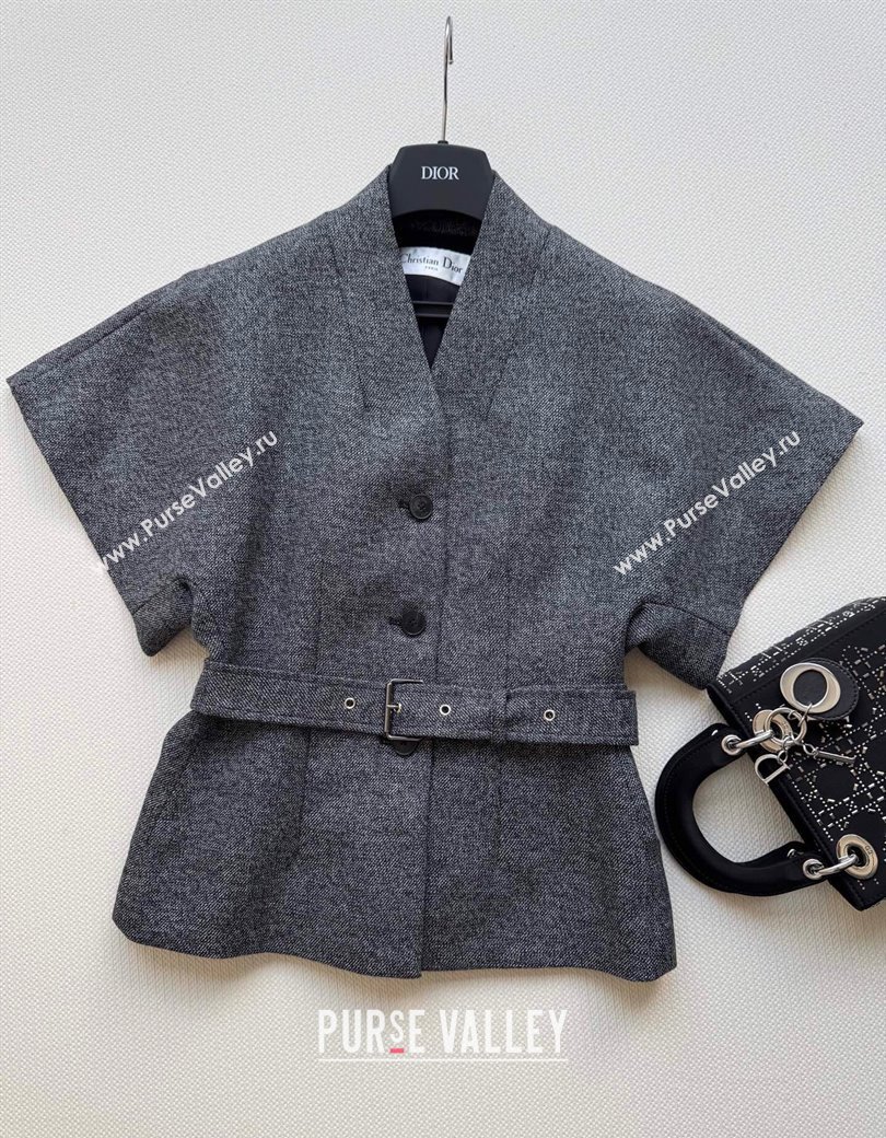 Dior Wool Silk Shirt Grey 2025 0812 (QI-250815034)