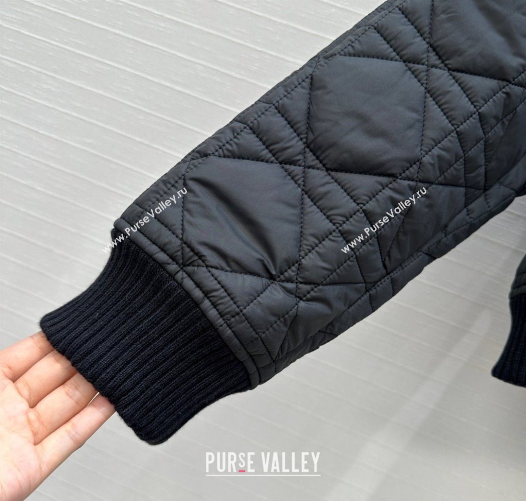 Dior Oblique Padded Short Jacket with Wide Neck Black 2025 CH090404 (QI-250904039)