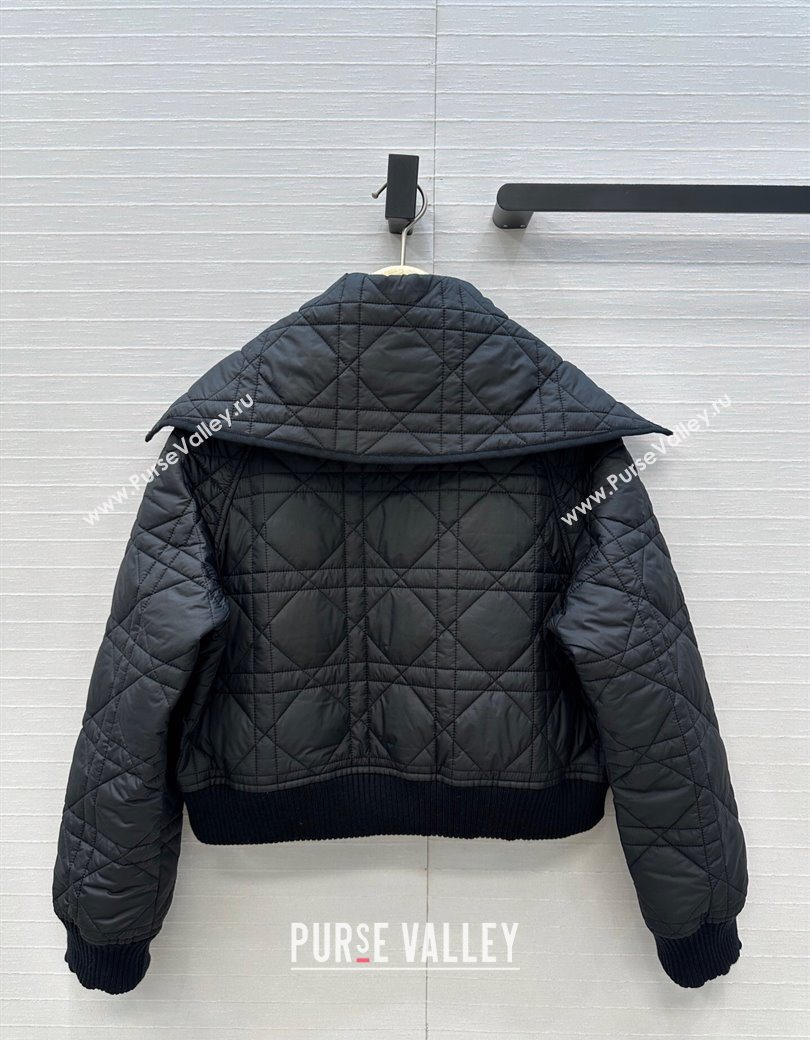Dior Oblique Padded Short Jacket with Wide Neck Black 2025 CH090404 (QI-250904039)