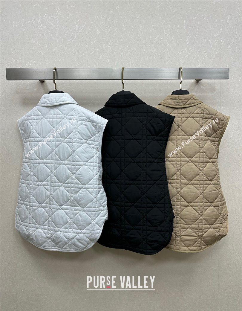 Dior Oblique Vest with Belt Beige 2025 DR090404 (QI-250904013)