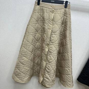 Dior Oblique Long Skirt 2025 DR090404 (QI-250904016)