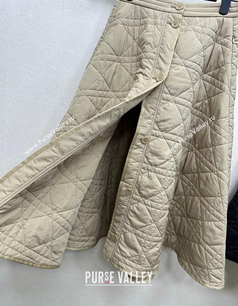 Dior Oblique Long Skirt 2025 DR090404 (QI-250904016)