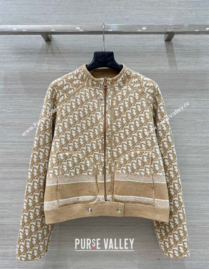 Dior Wool Reversible Jacket Beige 2025 CH090423 (QI-250904123)