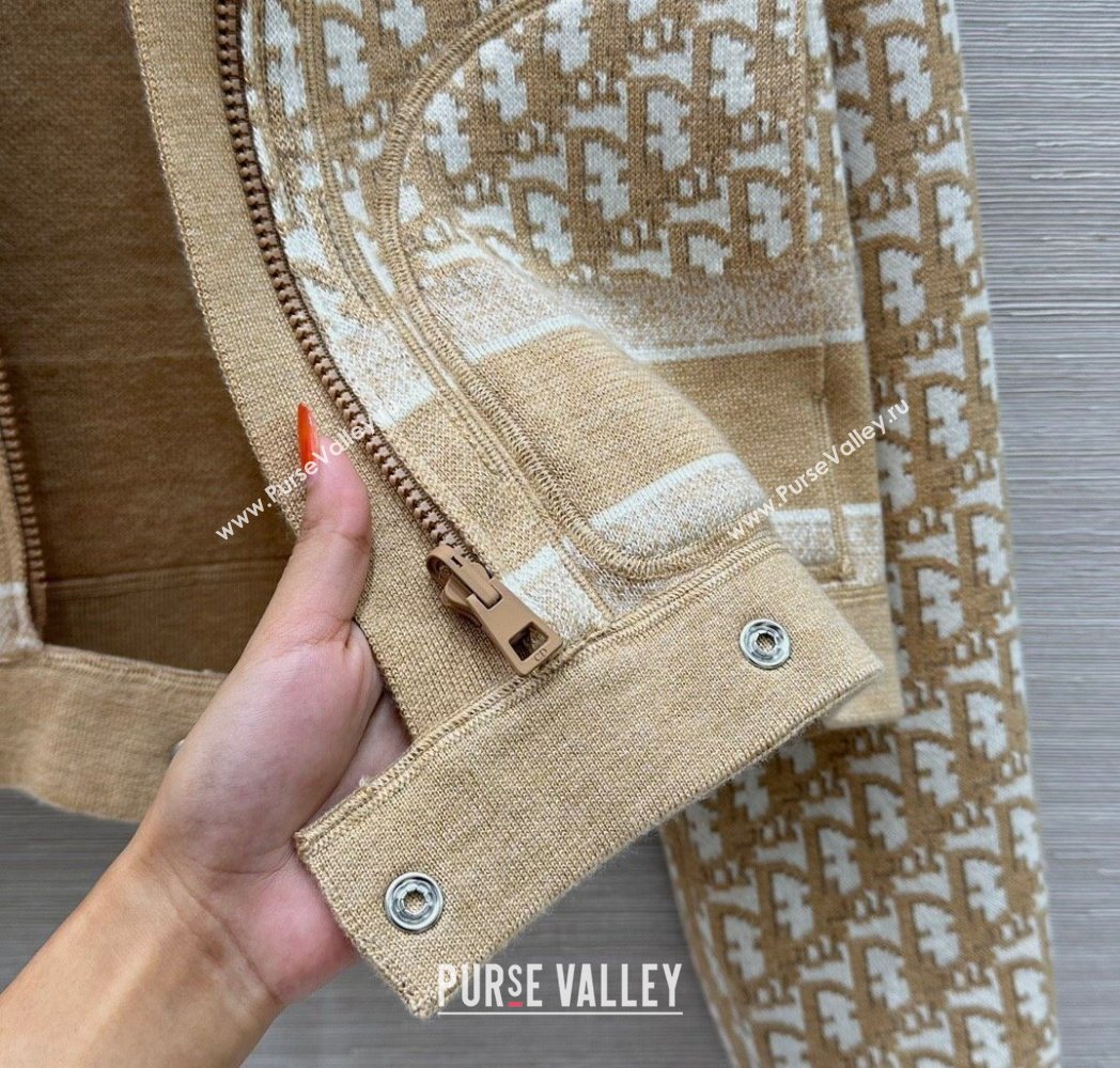 Dior Wool Reversible Jacket Beige 2025 CH090423 (QI-250904123)