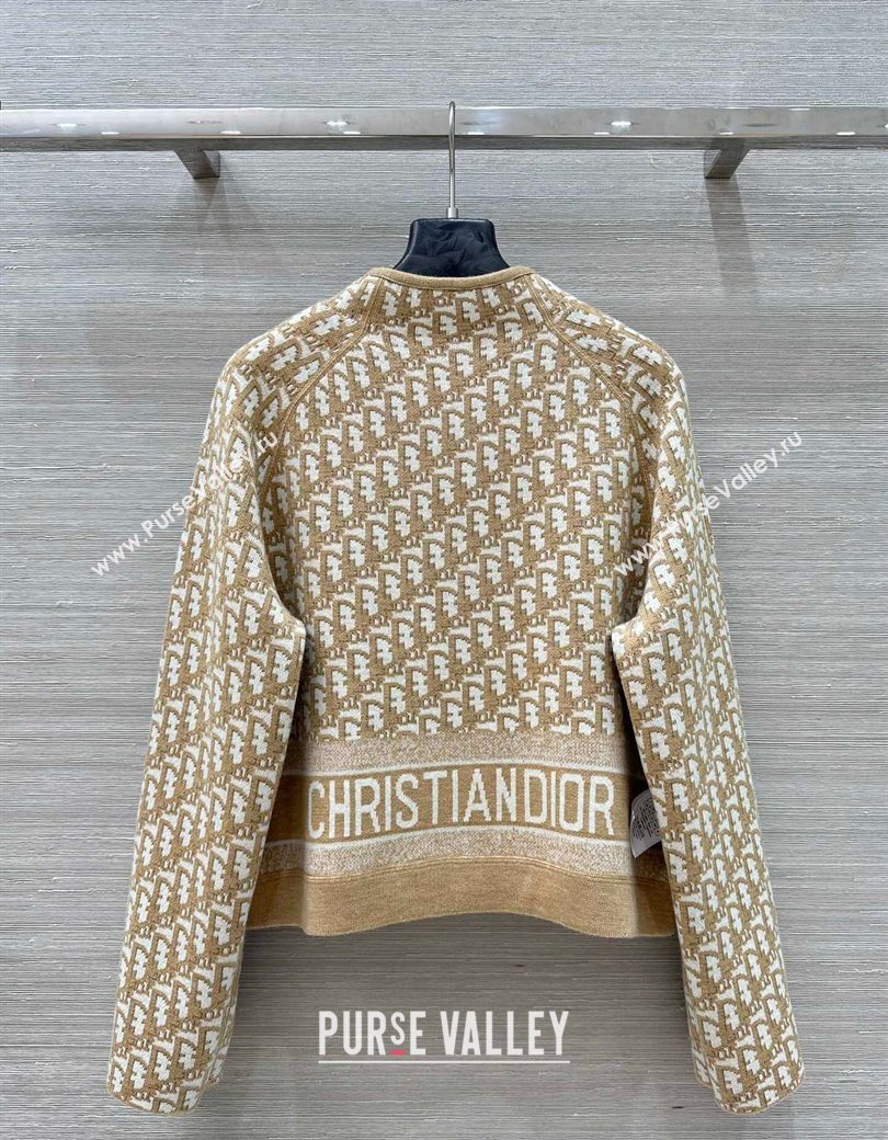 Dior Wool Reversible Jacket Beige 2025 CH090423 (QI-250904123)