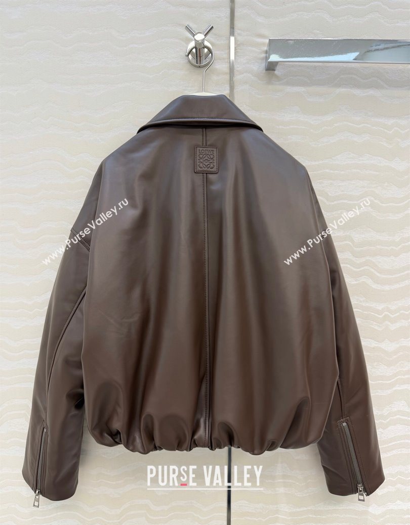 Loewe Sheepskin Leather Down Jacket Brown 2026 LW011304 (QI-260113063)