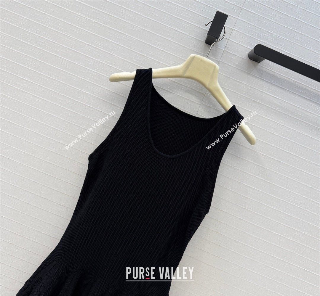 Alaia Skater Cotton Knit Dress Black 2026 AL031101 (QI-260311016)