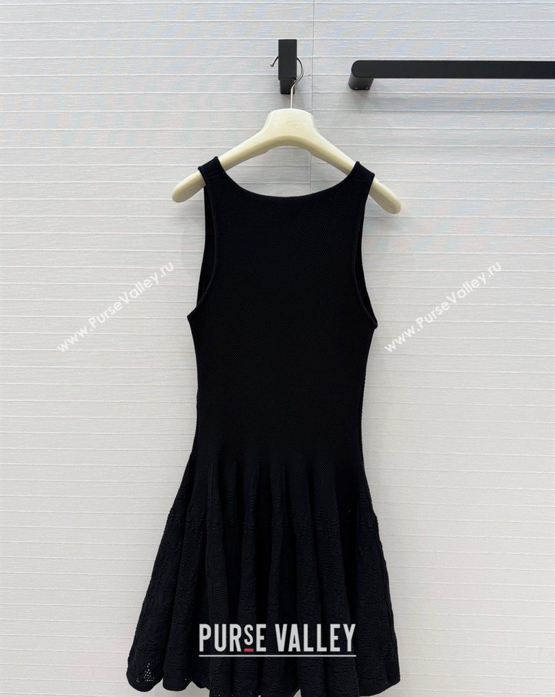 Alaia Skater Cotton Knit Dress Black 2026 AL031101 (QI-260311016)