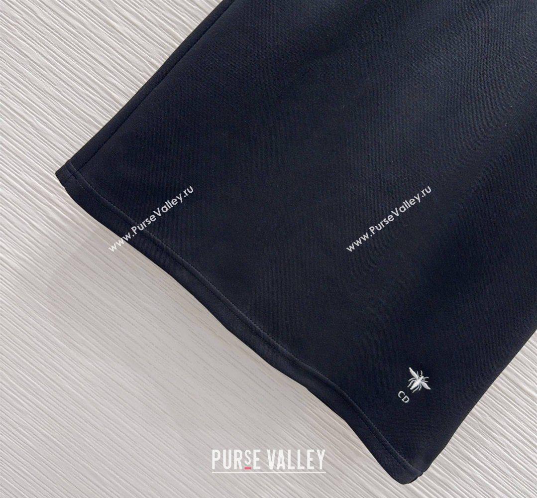 Dior Vest and Skirt Set Black 2026 DR032415 (QI-260324026)