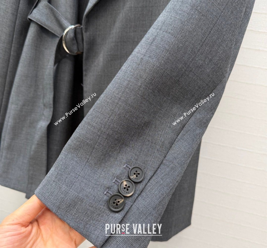 Loewe Jacket Grey 2026 LW032545 (QI-260325139)