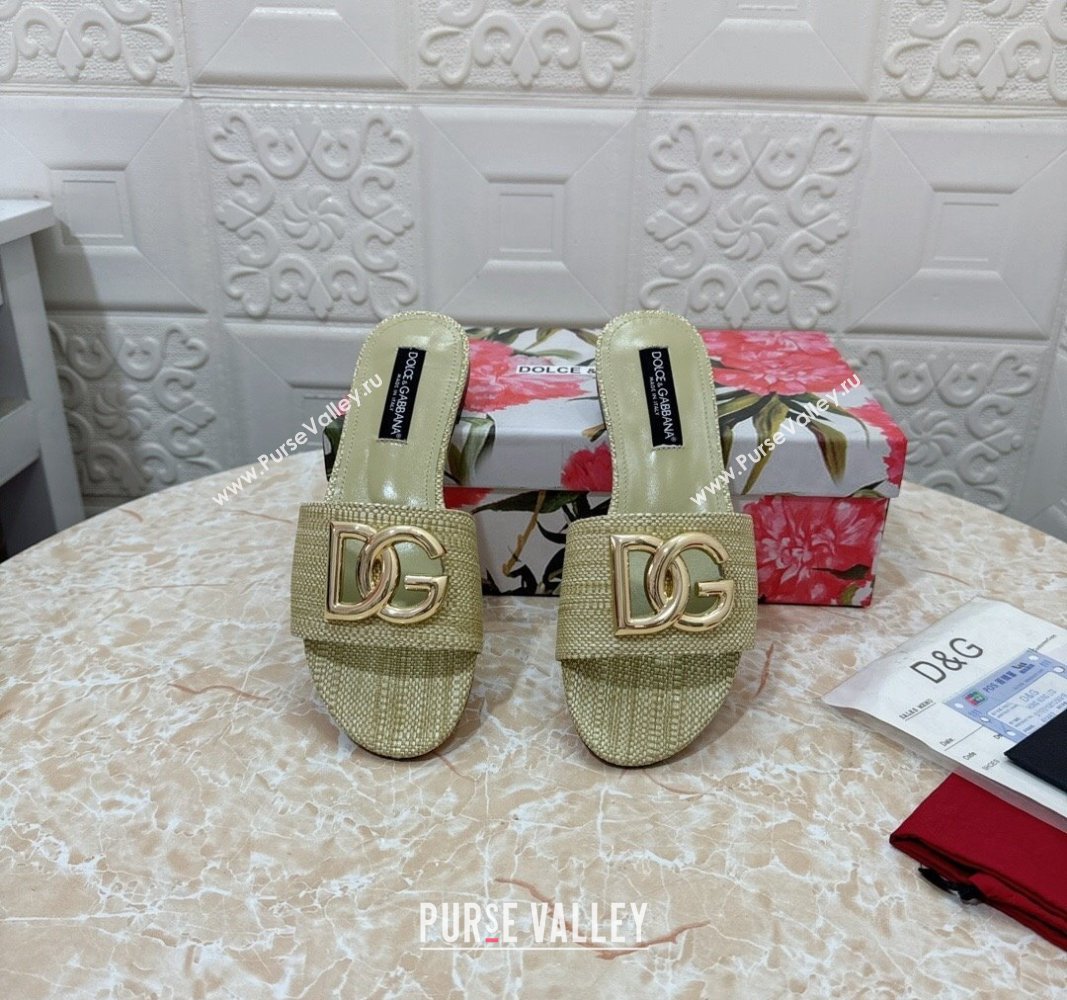 Dolce Gabbana DG Straw-Like Flat Slide Sandals Green 2024 0325 (MD-240325126)