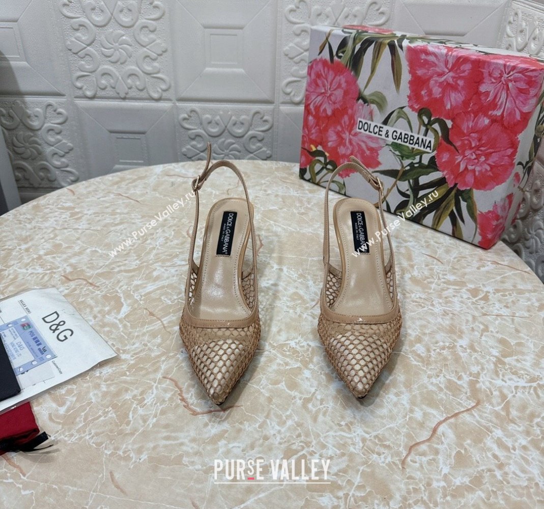 Dolce Gabbana DG Patent Leather and Mesh Slingbacks Pumps 6.5cm Beige 2024 (MD-240506096)