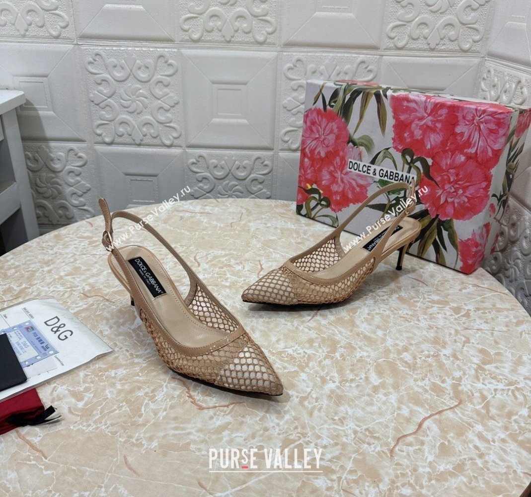 Dolce Gabbana DG Patent Leather and Mesh Slingbacks Pumps 6.5cm Beige 2024 (MD-240506096)