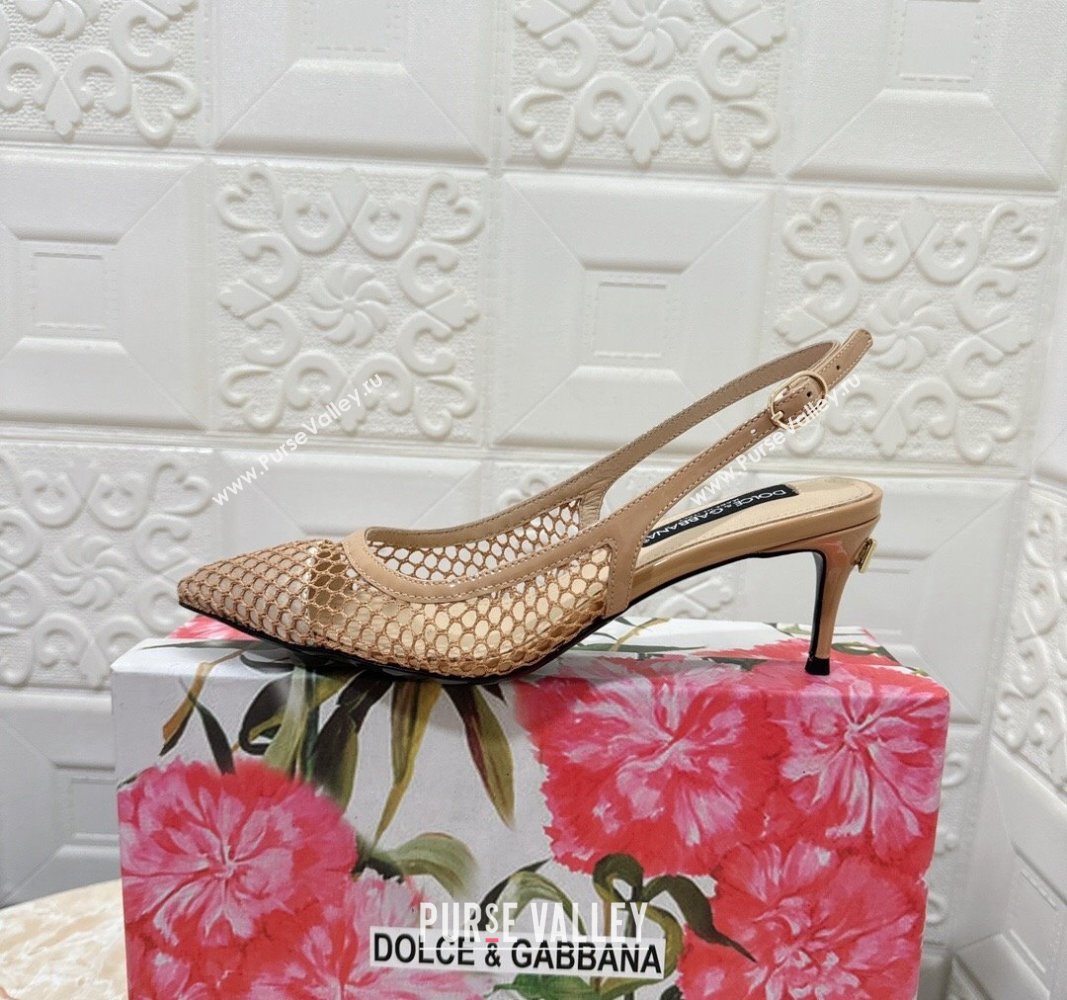 Dolce Gabbana DG Patent Leather and Mesh Slingbacks Pumps 6.5cm Beige 2024 (MD-240506096)
