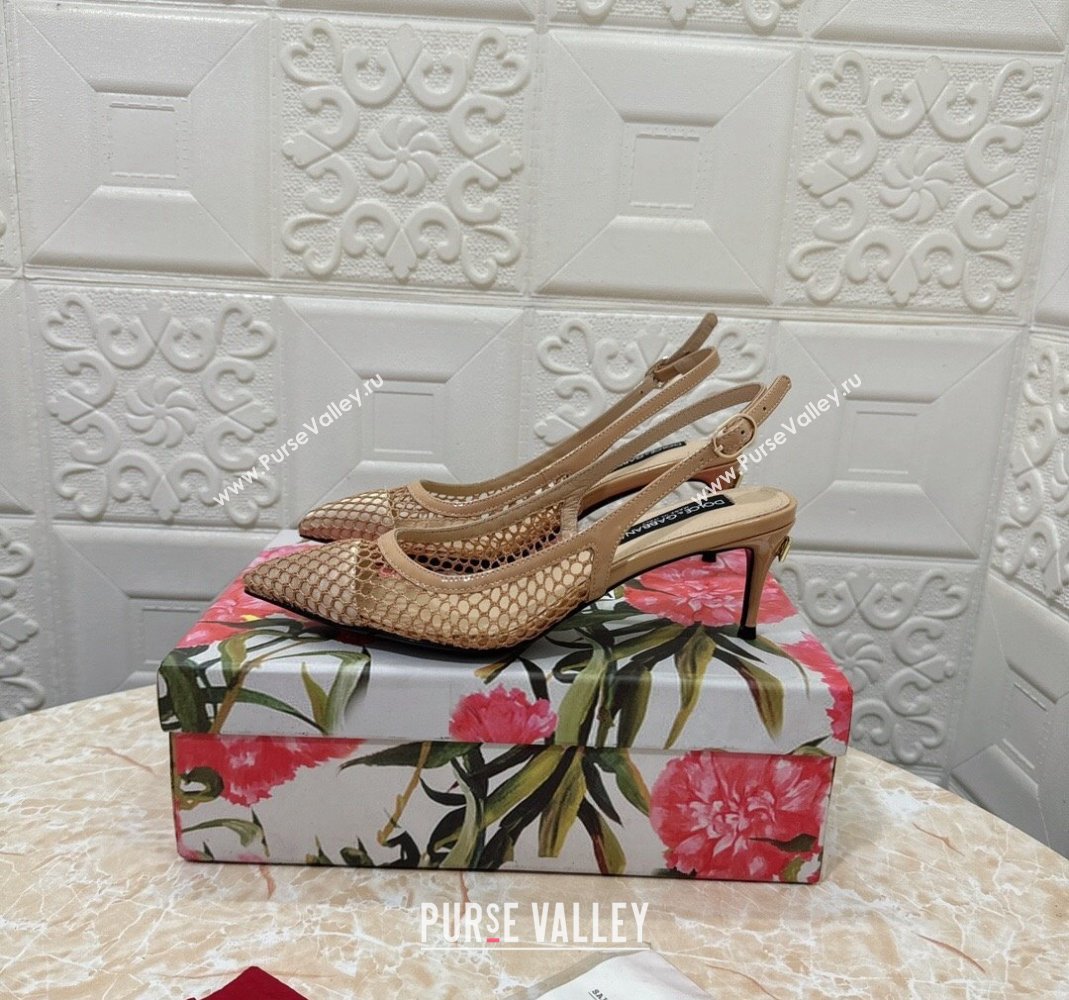 Dolce Gabbana DG Patent Leather and Mesh Slingbacks Pumps 6.5cm Beige 2024 (MD-240506096)