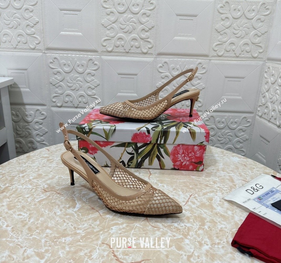 Dolce Gabbana DG Patent Leather and Mesh Slingbacks Pumps 6.5cm Beige 2024 (MD-240506096)