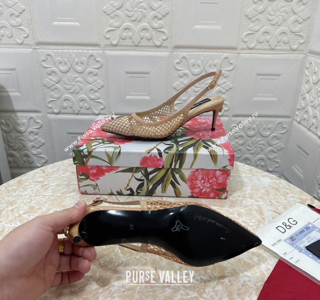 Dolce Gabbana DG Patent Leather and Mesh Slingbacks Pumps 6.5cm Beige 2024 (MD-240506096)
