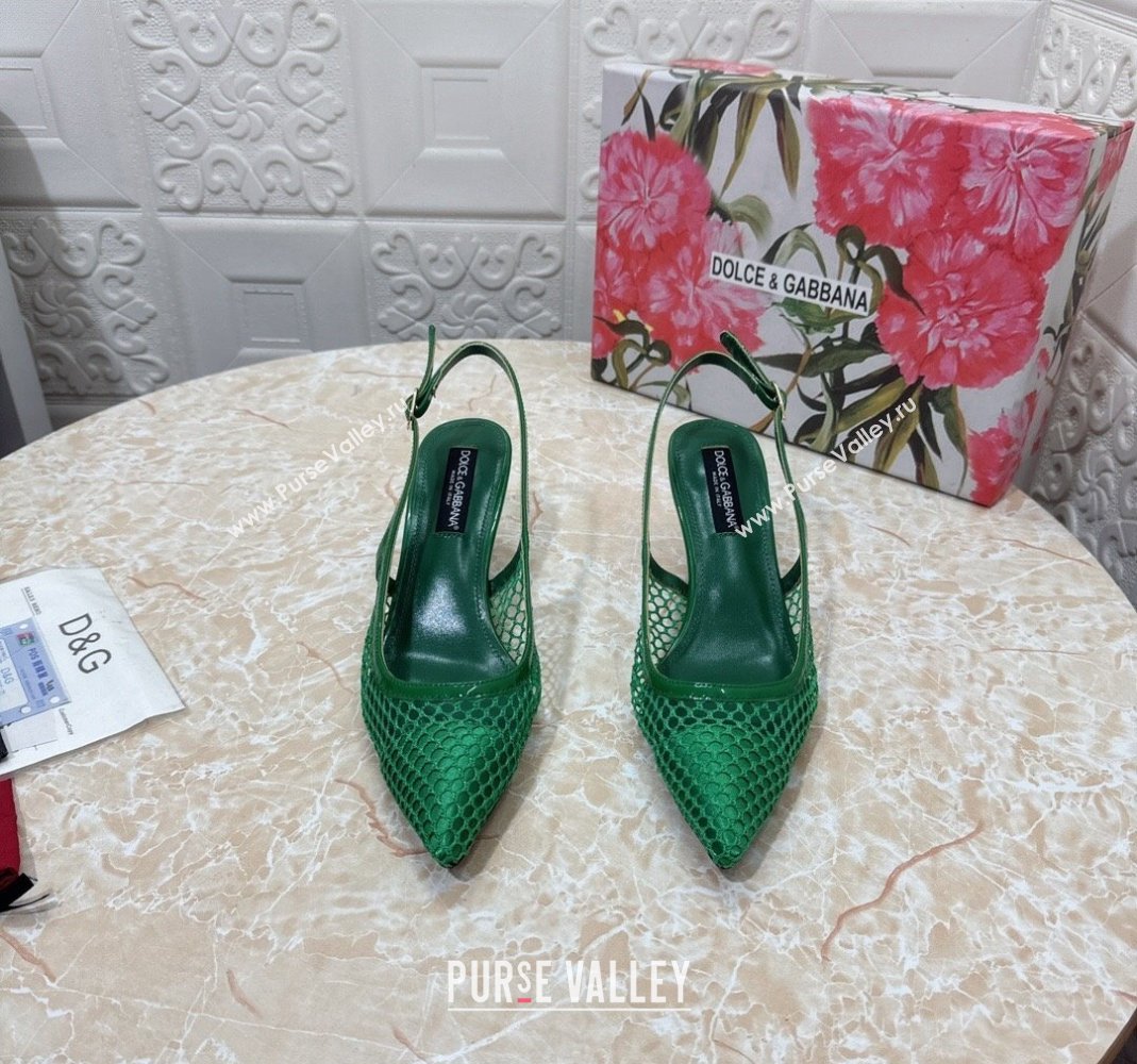 Dolce Gabbana DG Patent Leather and Mesh Slingbacks Pumps 6.5cm Green 2024 (MD-240506097)