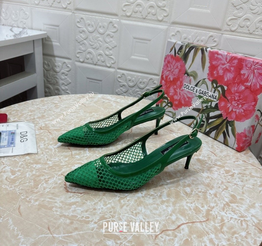 Dolce Gabbana DG Patent Leather and Mesh Slingbacks Pumps 6.5cm Green 2024 (MD-240506097)