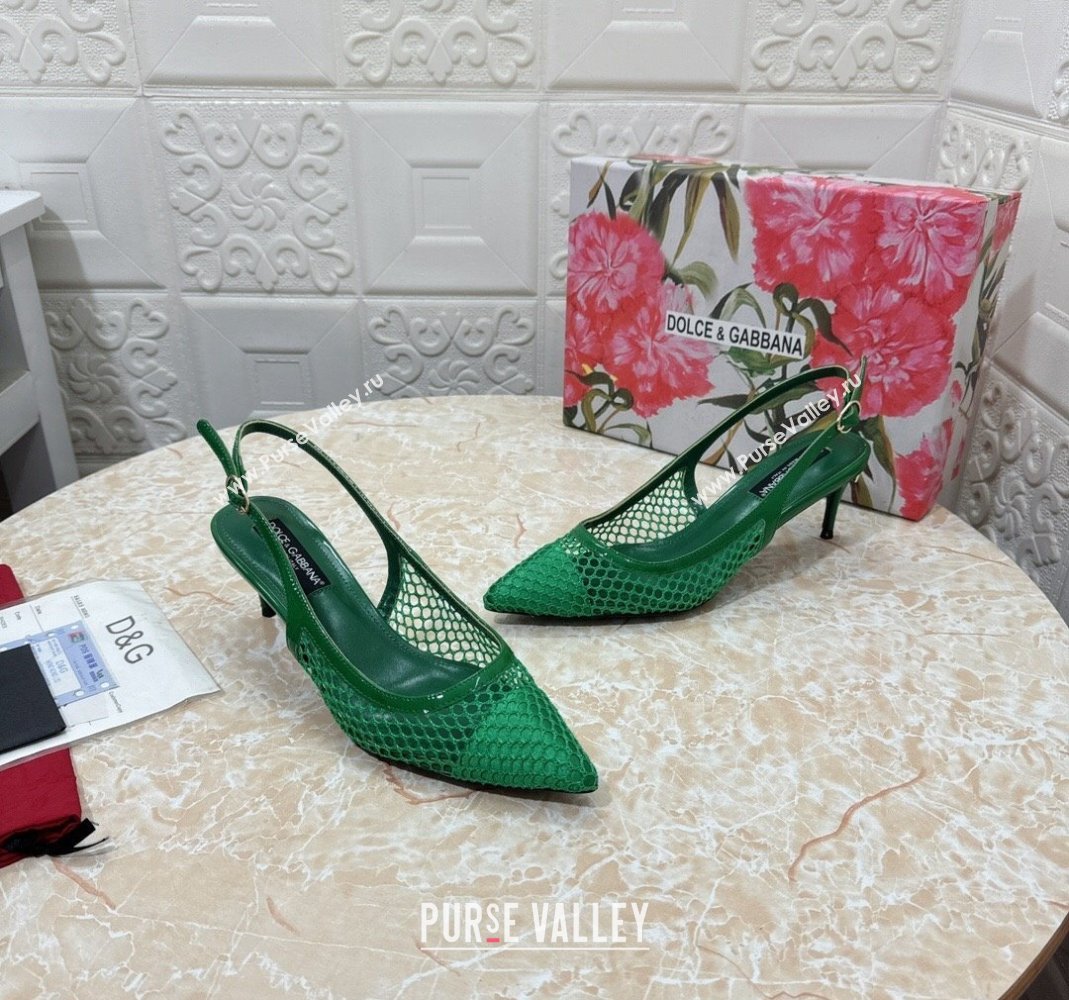 Dolce Gabbana DG Patent Leather and Mesh Slingbacks Pumps 6.5cm Green 2024 (MD-240506097)