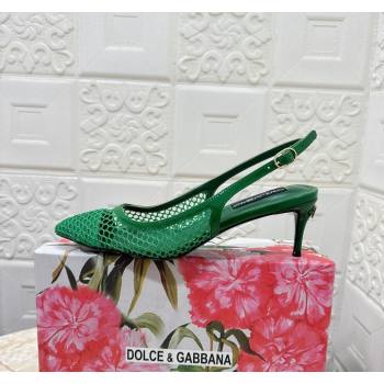 Dolce Gabbana DG Patent Leather and Mesh Slingbacks Pumps 6.5cm Green 2024 (MD-240506097)