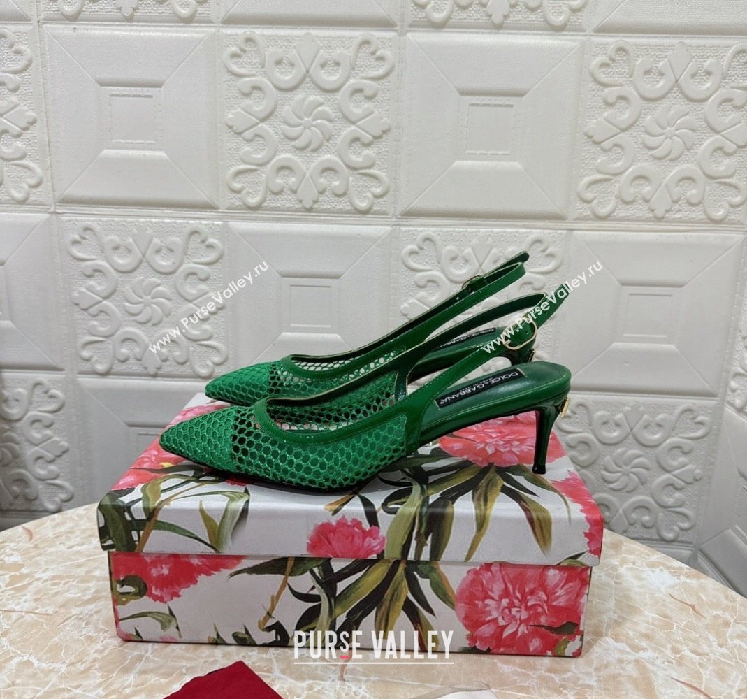 Dolce Gabbana DG Patent Leather and Mesh Slingbacks Pumps 6.5cm Green 2024 (MD-240506097)