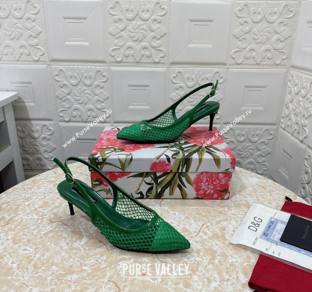 Dolce Gabbana DG Patent Leather and Mesh Slingbacks Pumps 6.5cm Green 2024 (MD-240506097)