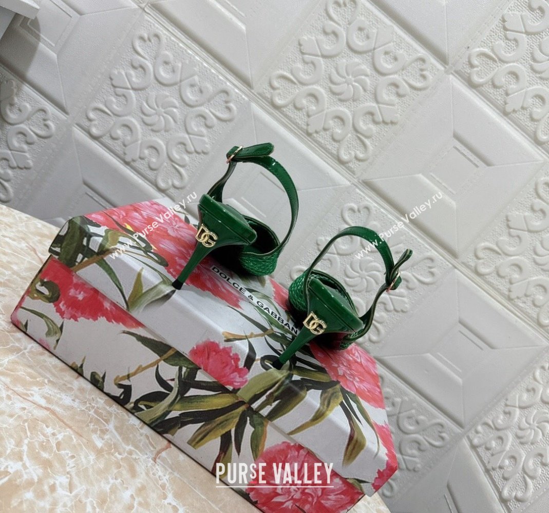 Dolce Gabbana DG Patent Leather and Mesh Slingbacks Pumps 6.5cm Green 2024 (MD-240506097)